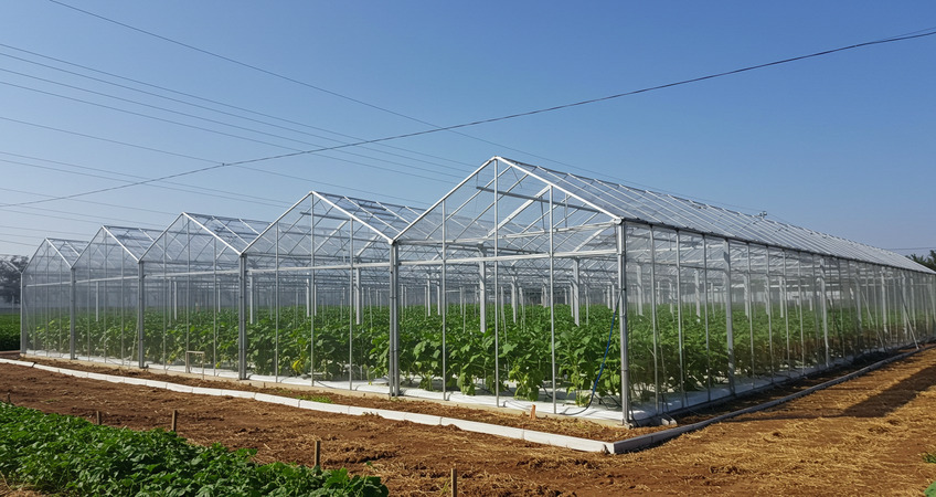 Side-Standing Greenhouses