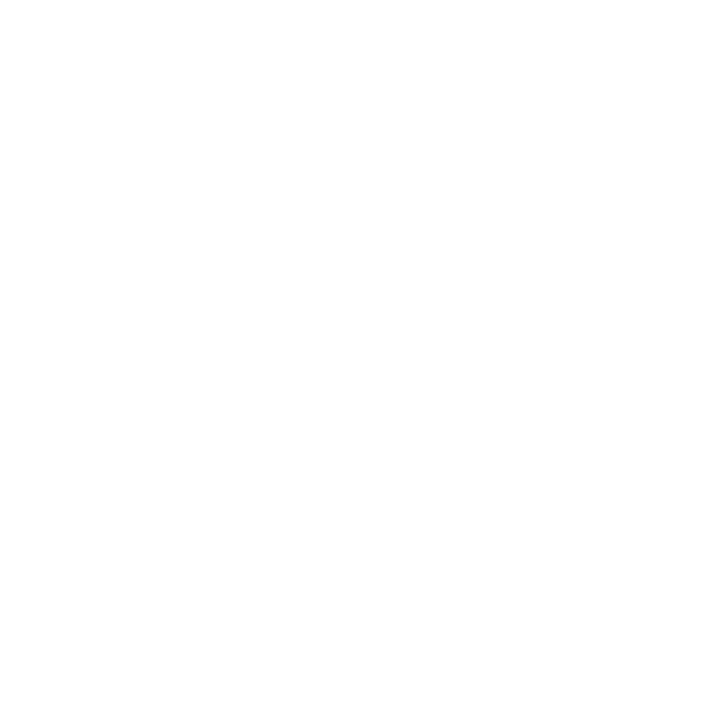 الأرز