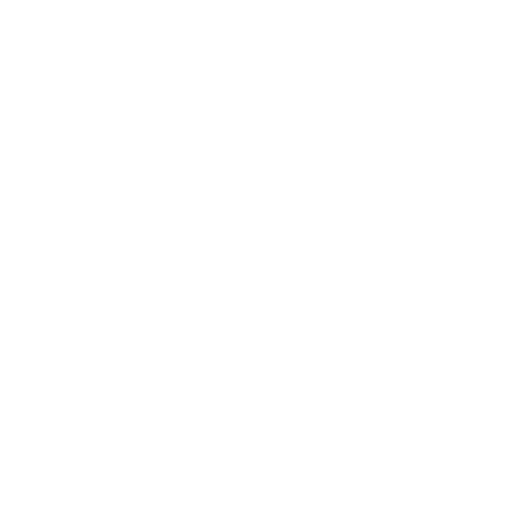 البرجر